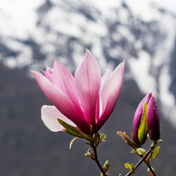 Similar image 21434955