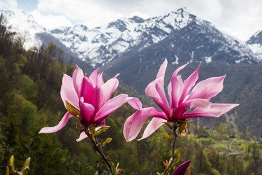 Similar image 21434956