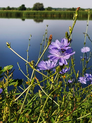 Similar image 21434957