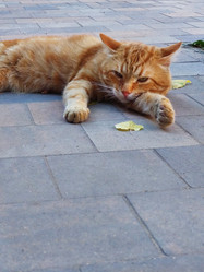 Similar image 21434961