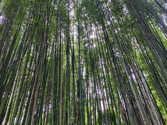 Similar image 21434972