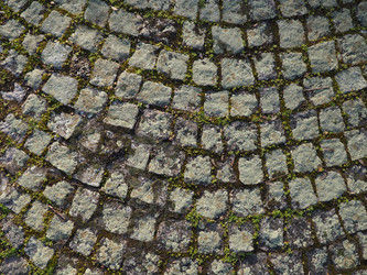 Similar image 21435468