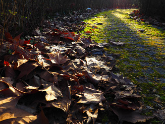 Similar image 21435473