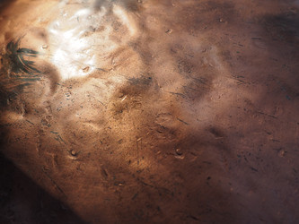 Similar image 21435500