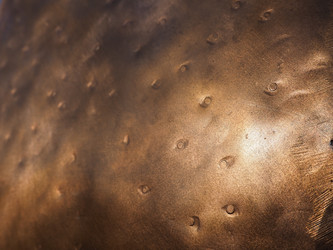 Similar image 21435503