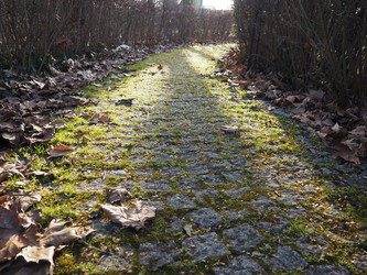 Similar image 21435505