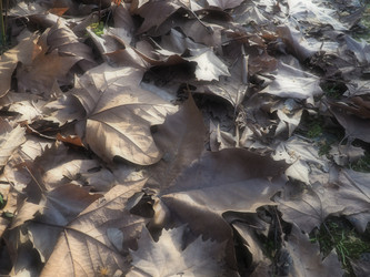 Similar image 21435511