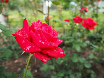 Similar image 21435519