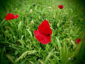 Similar image 21435521