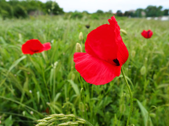 Similar image 21435525