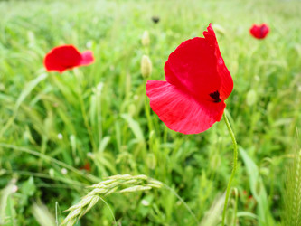 Similar image 21435527