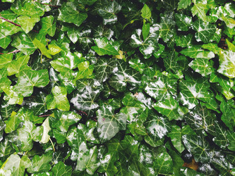 Similar image 21435532