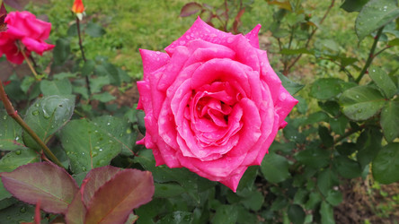 Similar image 21435549