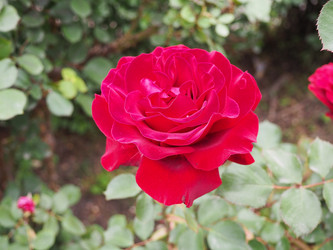 Similar image 21435556