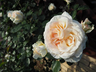 Similar image 21435557