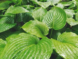 Similar image 21440871