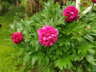 Similar image 21440873