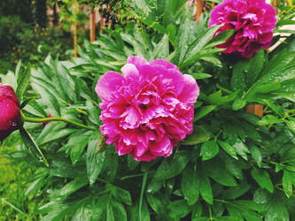 Similar image 21440875