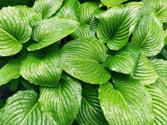 Similar image 21440878