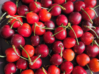 Similar image 21440884