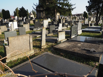 Similar image 21440887