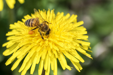 Similar image 21435102