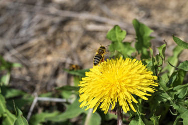 Similar image 21435103