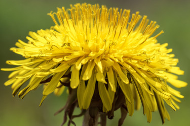 Similar image 21435106