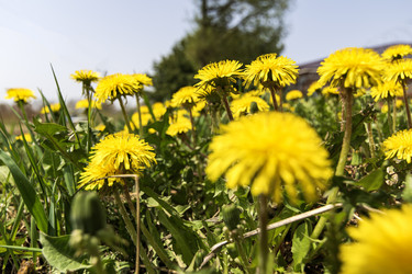 Similar image 21435107