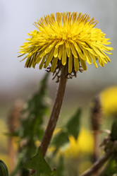 Similar image 21435108