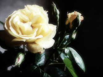 Similar image 21440603