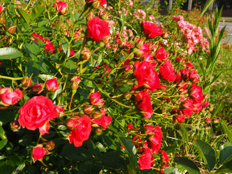 Similar image 21440605