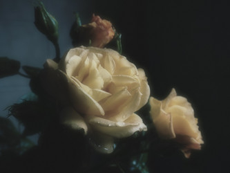 Similar image 21440609