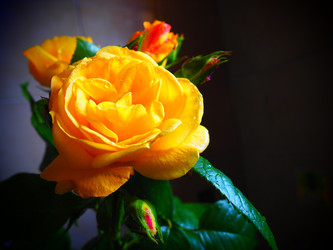 Similar image 21440613