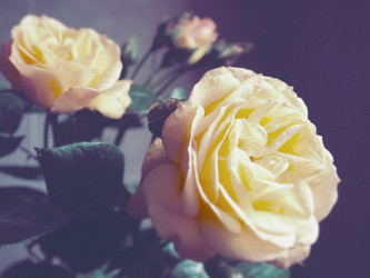 Similar image 21440617