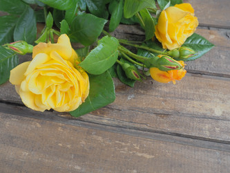 Similar image 21440621