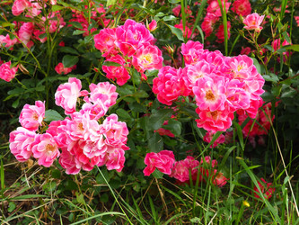 Similar image 21440626