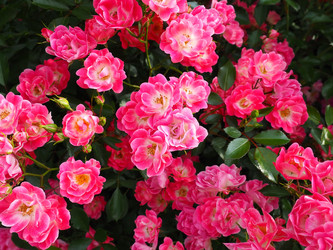 Similar image 21440627