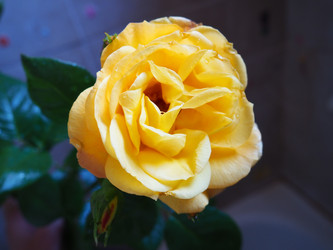 Similar image 21440628