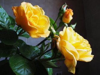 Similar image 21440629