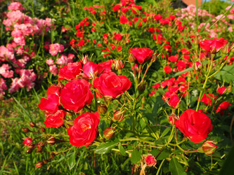 Similar image 21440632