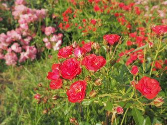 Similar image 21440633