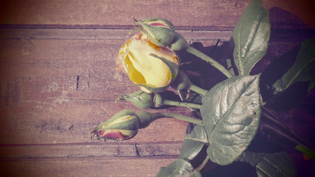 Similar image 21440639