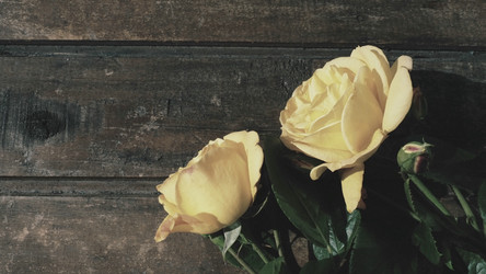 Similar image 21440641