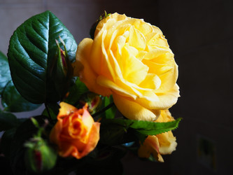 Similar image 21440658