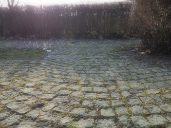 Similar image 21440659