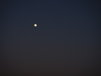 Similar image 21440663