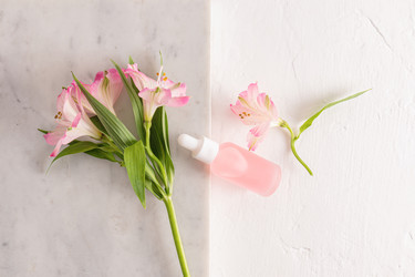 Similar image 21434989