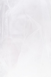 Similar image 21434994