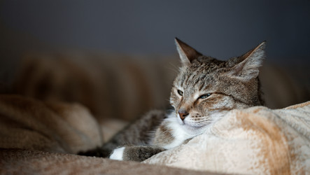 Similar image 21435109